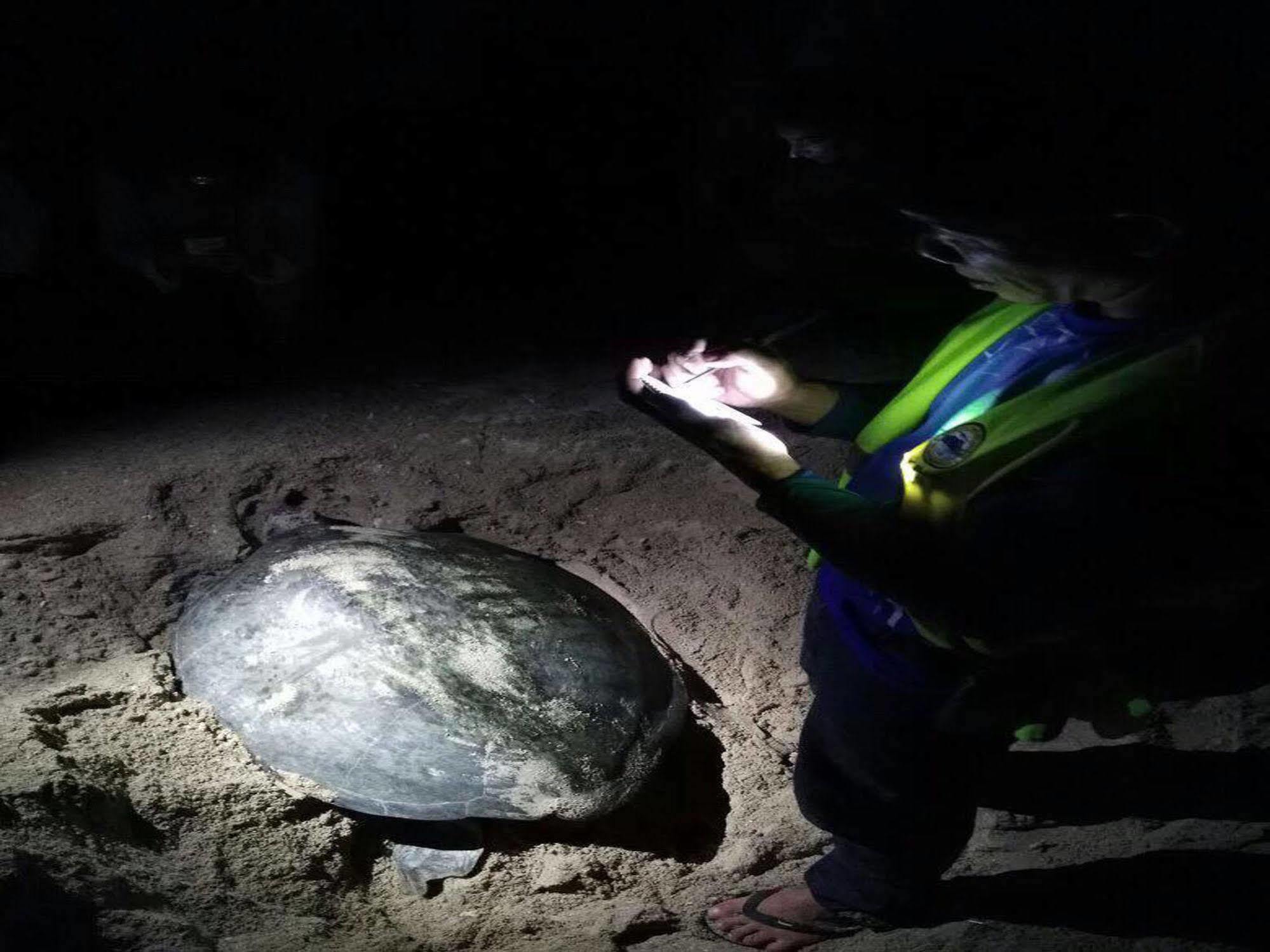 Отель Selingan Turtle Island Сандакан Экстерьер фото