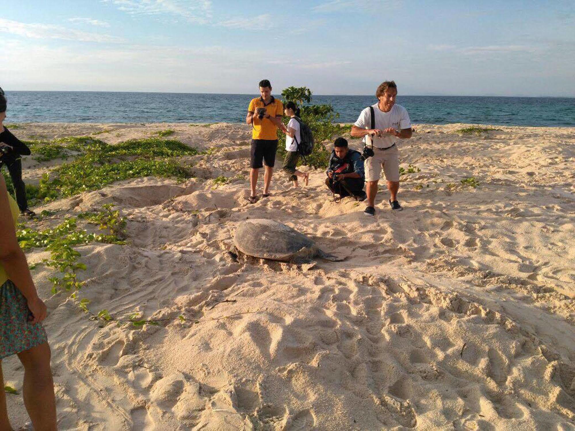 Отель Selingan Turtle Island Сандакан Экстерьер фото